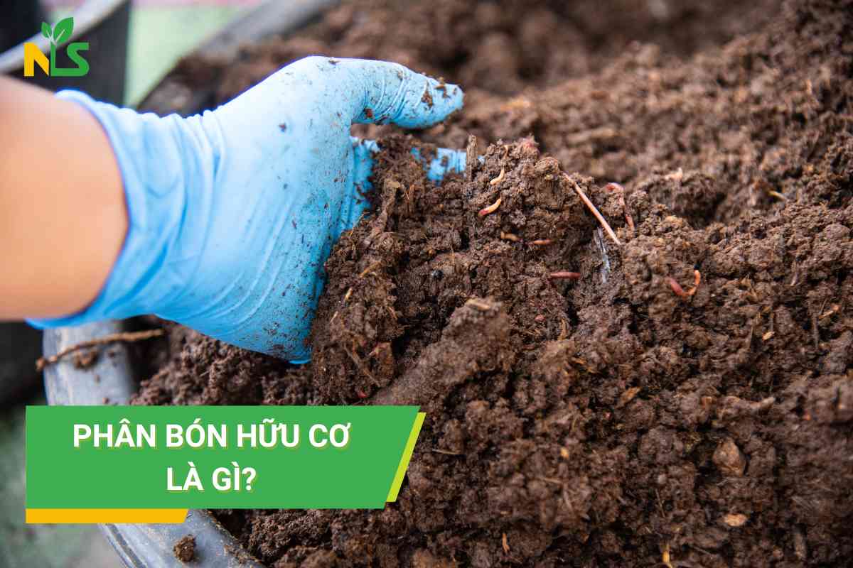 Phân bón hữu cơ là gì?