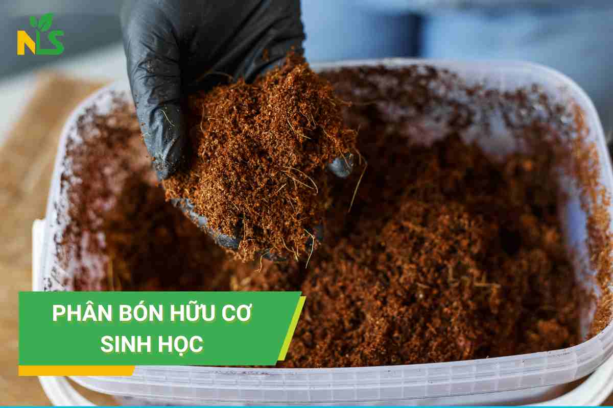 Phân bón hữu cơ sinh học là gì?