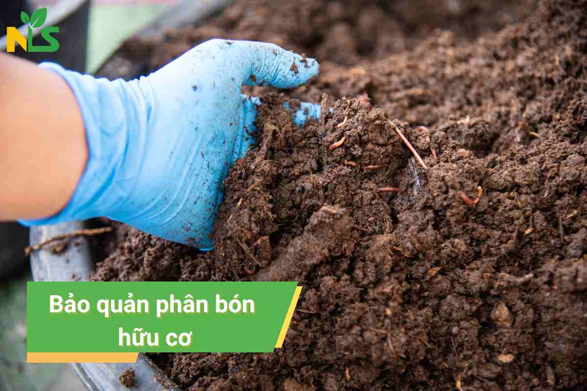 Bảo quản phân bón hữu cơ