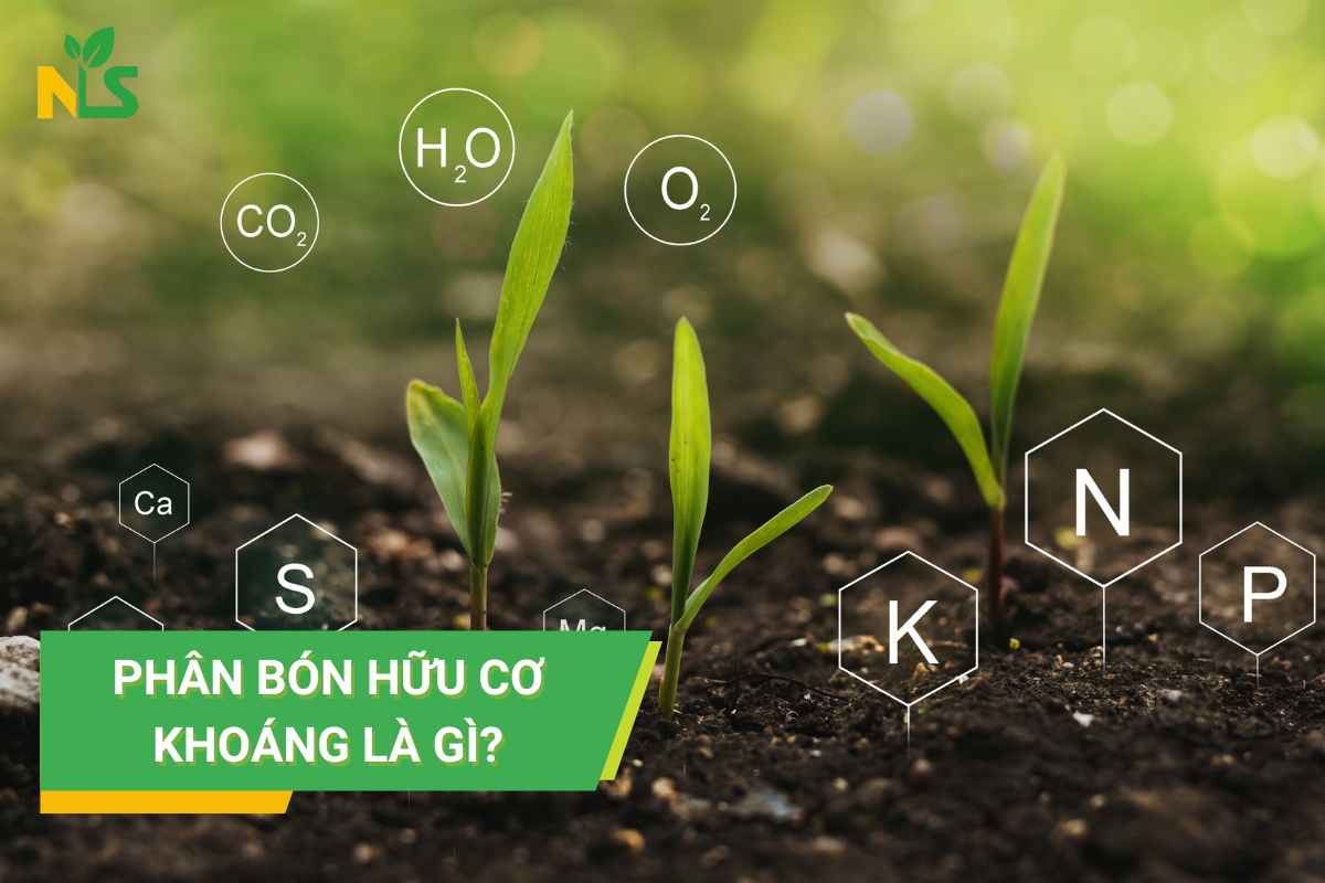 Phân bón hữu cơ khoáng là gì?