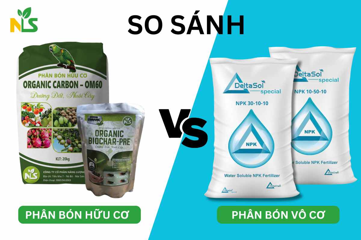 So sánh phân bón hữu cơ và vô cơ