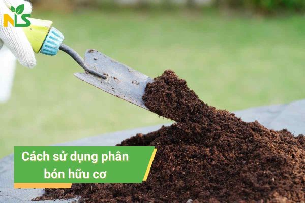 Cách sử dụng phân hữu cơ