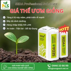 Công dụng của giá thể