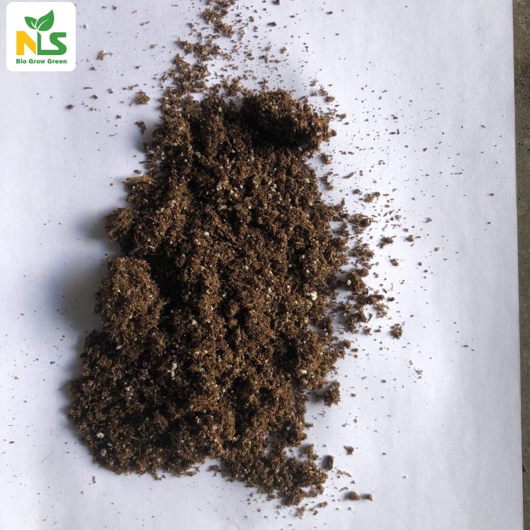 Ngoại quan sản phẩm giá thể ươm giống SEDA Ngoại quan sản phẩm giá thể ươm giống SEDA